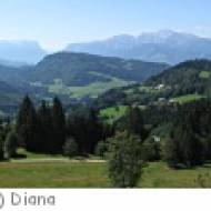 Salzburg Gaisberg Zistelrunde Gaisberg Zistelrunde
