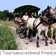 Bauerngolf in Franking