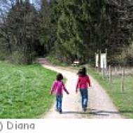 Leonding Turmwanderweg