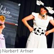 Landestheater Linz