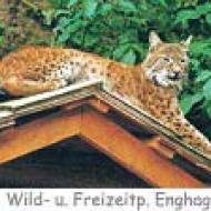 Wild- Freizeitpark Enghagen Tiere ü Wildpark Freizeitpark Enghagen