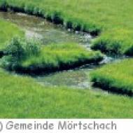 Mörtschach Astner Moos Astner Moos
