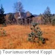 Koppl Moor Wanderung Koppler Moor Wanderung