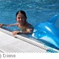 Winklern Freibad Erlebnisfreibad in Winklern