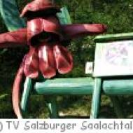 Vorderkaserklamm Orchideen Erlebnisweg Vorderkaserklamm