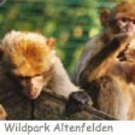 Wildpark Altenfelden ü Wildpark Altenfelden