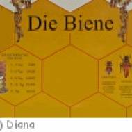 Göriach Bienenlehrpfad Bienenlehrpfad Göriach