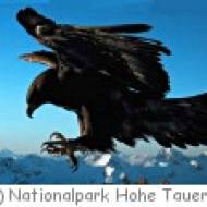 Rauris Nationalparkhaus König der Lüfte Nationalparkhaus König der Lüfte in Rauris