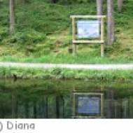 Neukirchen Natura Trail Blausee Blausee in Neukirchen