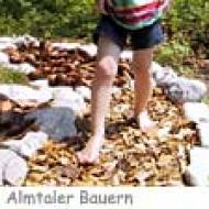 Glankerlweg wandern ü Glankerlweg Almtal wandern mit Kindern