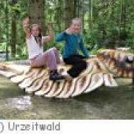 Gosau Urzeitwald Kindergeburtstag Kindergeburtstag im Urzeitwald in Gosau