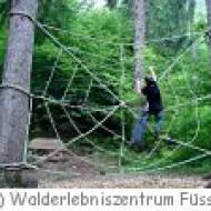 Füssen Bergwaldpfad Walderlebniszentrum Ziegelwies Bergwaldpfad