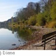 Neumarkt WasserWunderWallersee WasserWunderWallersee
