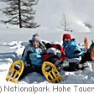 Mallnitz Schneeschuh Wildbeobachtung Wildbeobachtung und Schneeschuhwanderung