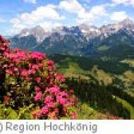 Hochkönig Bergbahnen Hochkönig Bergbahnen