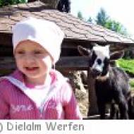 Dielalm in Werfen