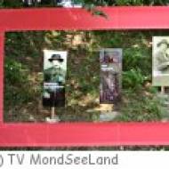 Oberwang Lebensroas Lebensroas in Oberwang