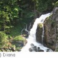 Bischofshofen Wasserfall und Ruine Wasserfall und Ruine in Bischofshofen
