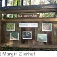 Großgmain Waldquizweg Waldquizweg