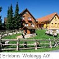 Teufen Restaurant Waldegg Restaurant Waldegg