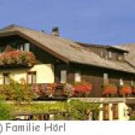 Eugendorf Gasthof Neuwirt Gasthof Neuwirt Eugendorf