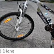 Salzkammergut Radweg