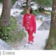 Prinzensteig Wilhering