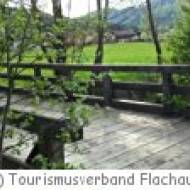 Flachau Wanderung Themenweg Wasser beweg Wasser bewegt! in Flachau