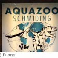 Aquazoo Schmiding Aquazoo Schmiding