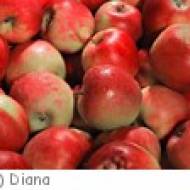 St. Paul Obstbaumuseum St. Paul Obstbaumuseum