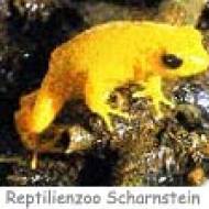 Reptilienzoo Scharnstein ü Reptilienzoo Scharnstein