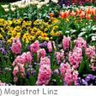 Botanischer Garten in Linz