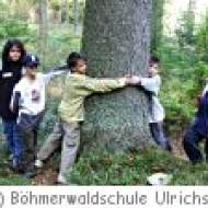 Ulrichsberg Waldtheater Waldtheater in der Böhmerwaldschule