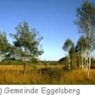 Eggelsberg Wanderung Ibmer Moor Wanderung durch das Ibmer Moor