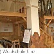 Linz Waldschule Waldschule Linz