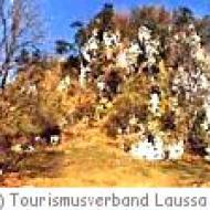 Kalksteinmauer Laussa