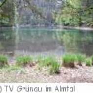 Ödseen Grünau Wanderung zu den Ödseen in Grünau