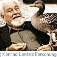 Konrad Lorenz Forschungsstelle Grünau Konrad Lorenz Forschungsstelle in Grünau