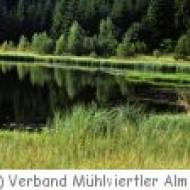 Liebenau Führung Tannermoor Führung durch das Tannermoor