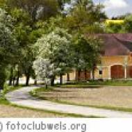 Wanderweg Roithen in Wels