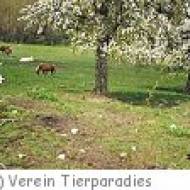 Tierparadies Schabenreith Tierparadies Schabenreith