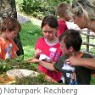 Rechberg Kindergeburtstag Kindergeburtstag im Naturpark Rechberg