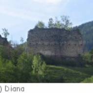 Wald im Pinzgau Ruine Hieburg Ruine Hieburg