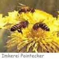 Imkerei Pointecker Bienenlehrpfad Bienenlehrpfad