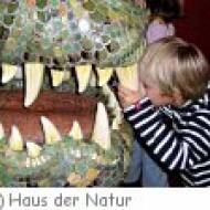 Haus der Natur Ferienprogramm Vorzeit Tiere der Vorzeit im Haus der Natur