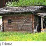 Wald im Pinzgau Mühle Besichtigung der Mühle