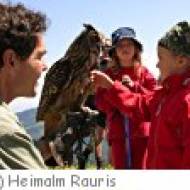 Greifvogelwarte bei der Hochalm