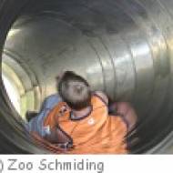 Zoo Schmiding Spielplatz Spielplätze im Zoo Schmiding
