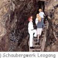 Schaubergwerk Leogang