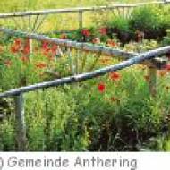 Kräutergarten in Anthering